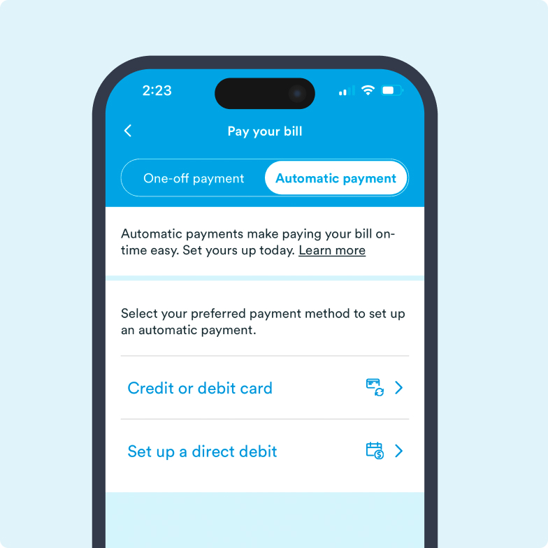 payment info - help screengrab of online payment gateway