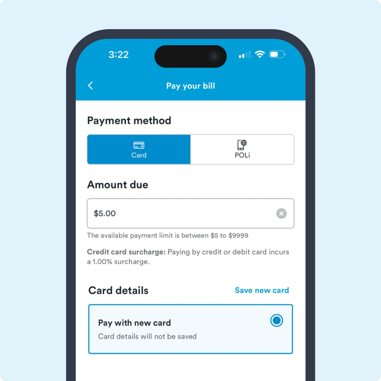 one off payment - help and support screengrab of one off payment option