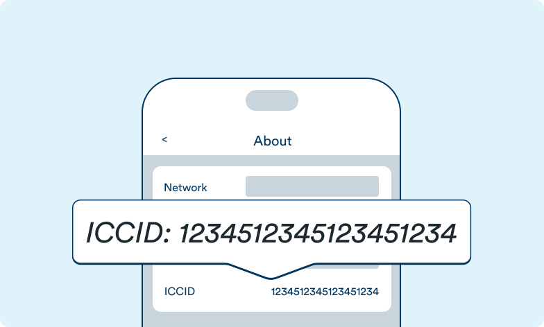 An icon showing the ICCID and where to find it for an eSIM
